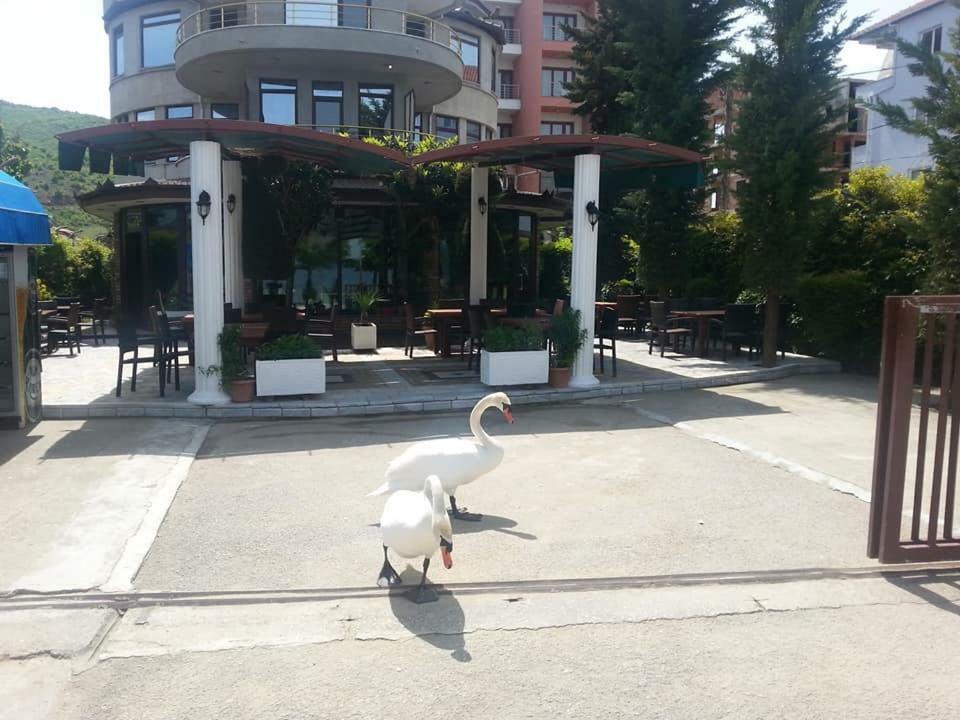 Hotel Saint Marena Pogradec Exteriör bild